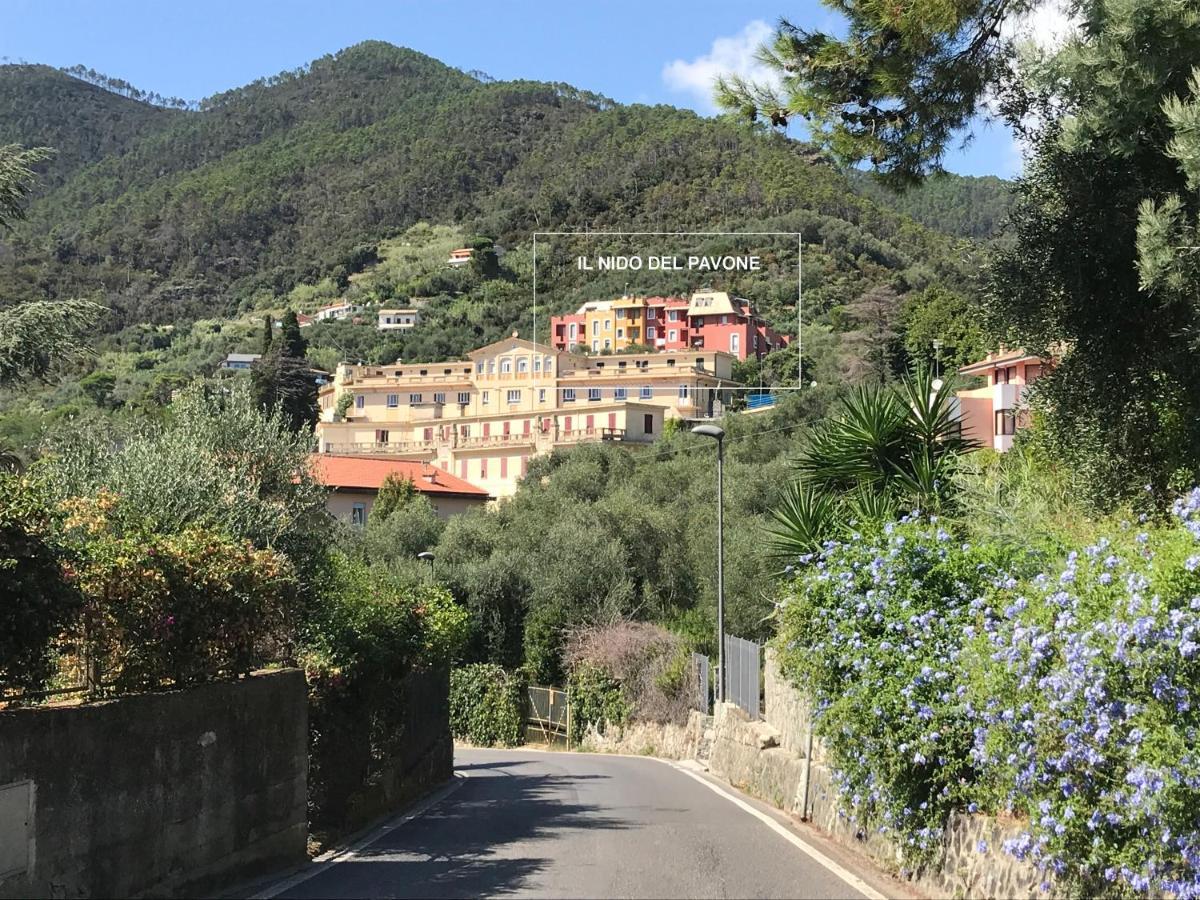 Il Nido Del Pavone Appartement Monterosso al Mare Buitenkant foto